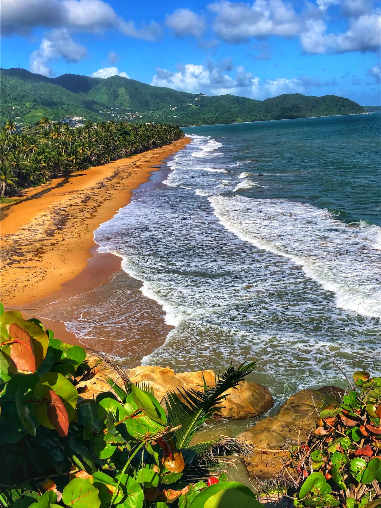 Aerial view of a golden sandy beach with palm trees and green mountains in the background.