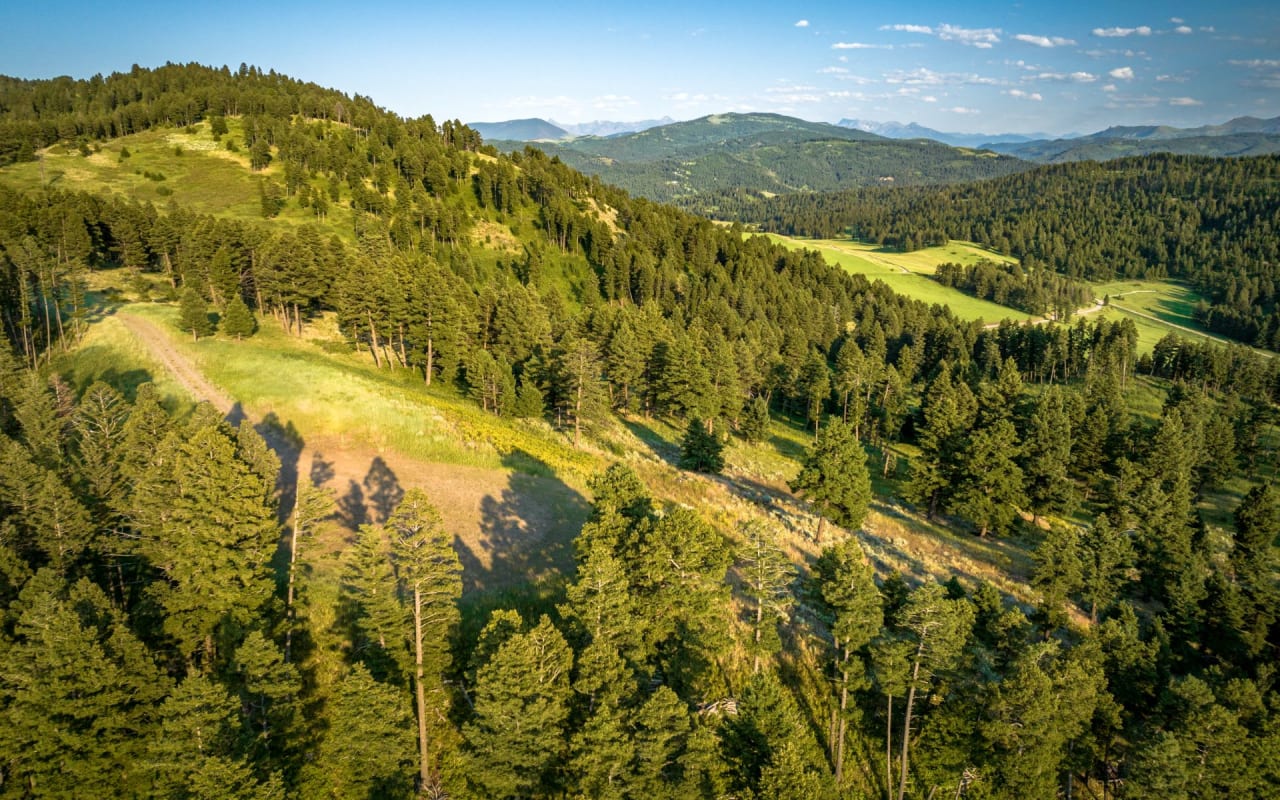 Parcel 4 | North Pass Ranch | Charlotte Durham
