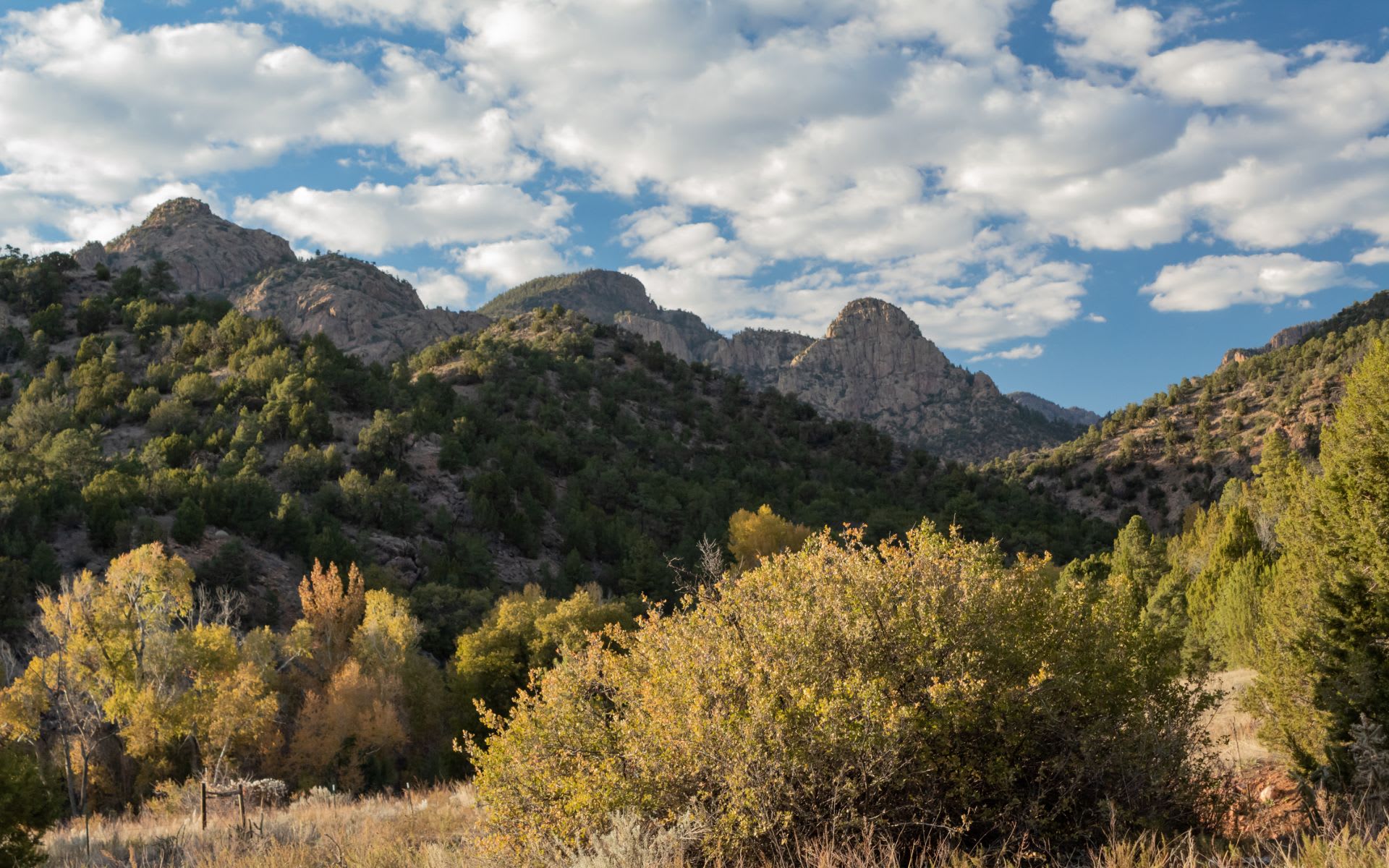 Sandstone image