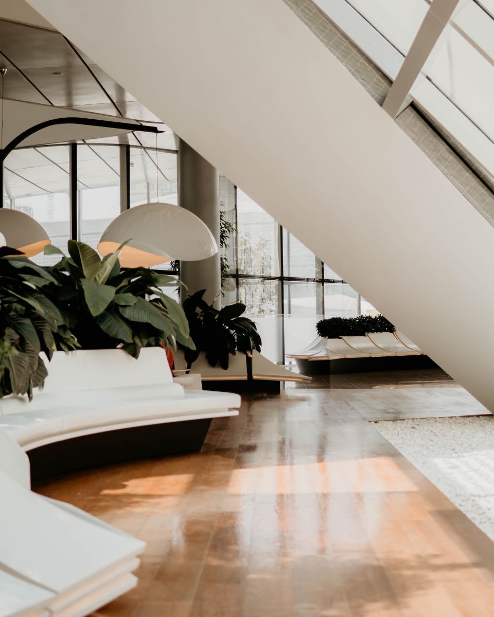 A room with a white couch beside some plants.