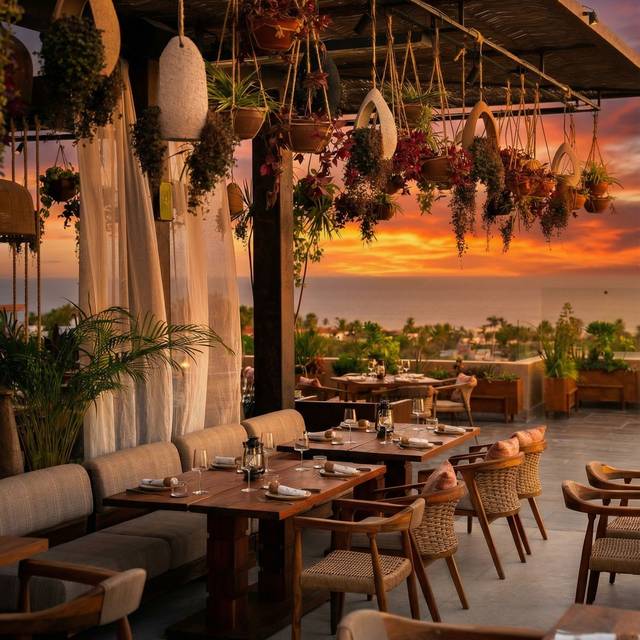 Amara Cabo - Image 1