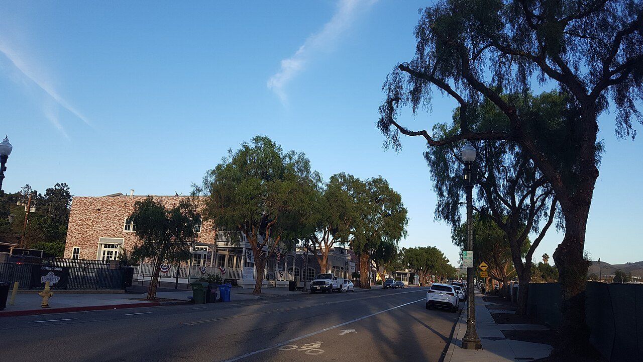 Historic pepper trees along High Street in Moorpark, October 2023