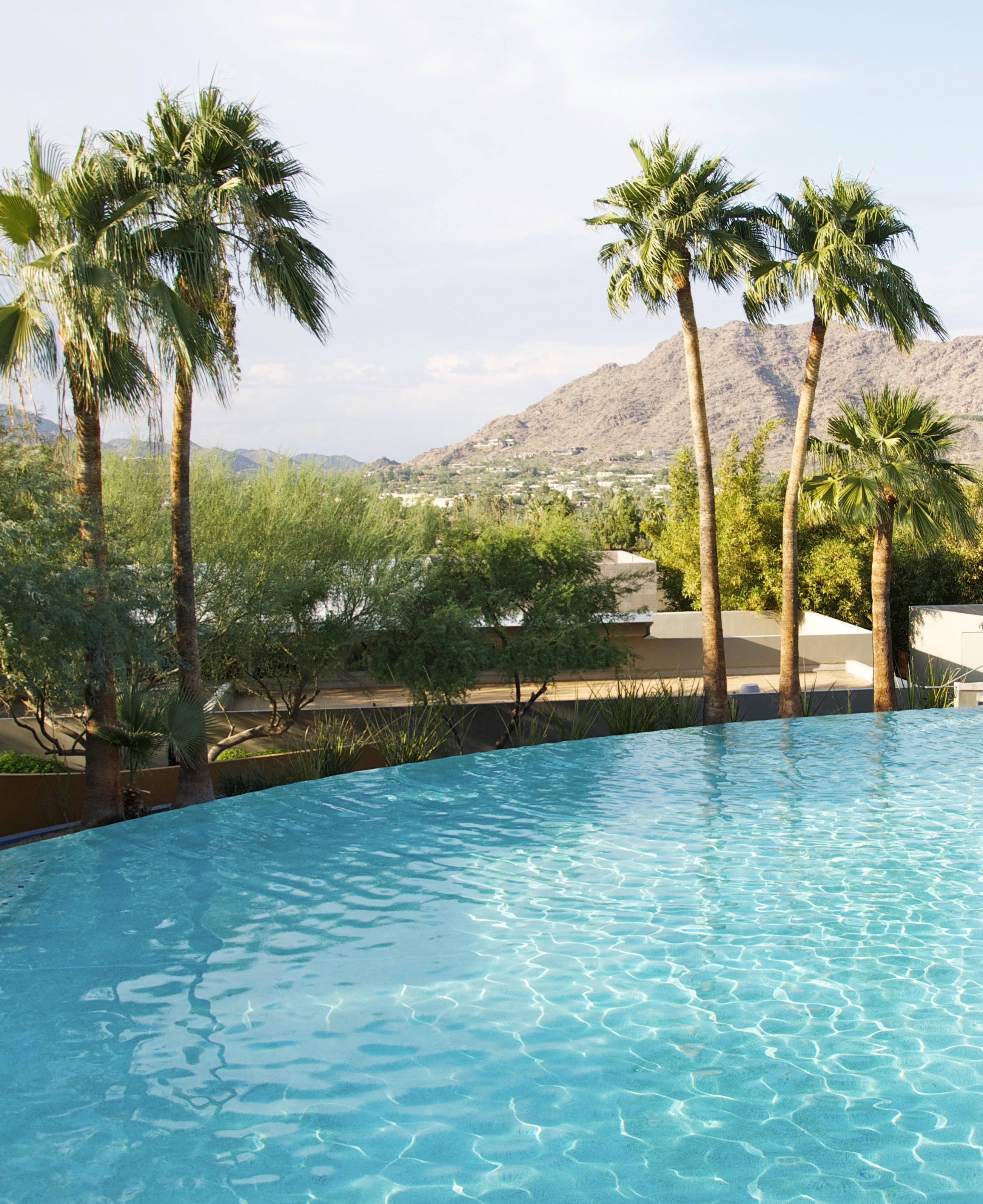 Infinity pool overlooking a desert landscape with palm trees and distant mountains under a clear sky, conveying tranquility and luxury.