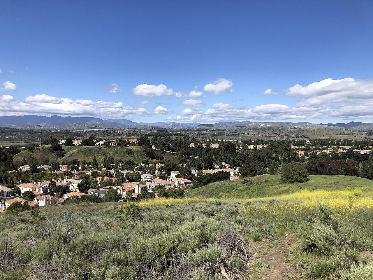 Western Moorpark landscape near Country Trail Park, March 2022