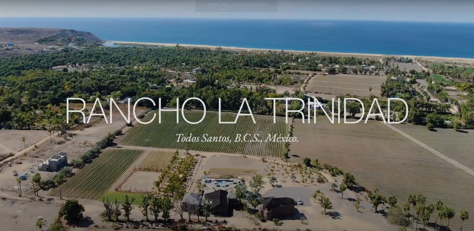 Rancho La Trinidad - Todos Santos BCS, Mexico