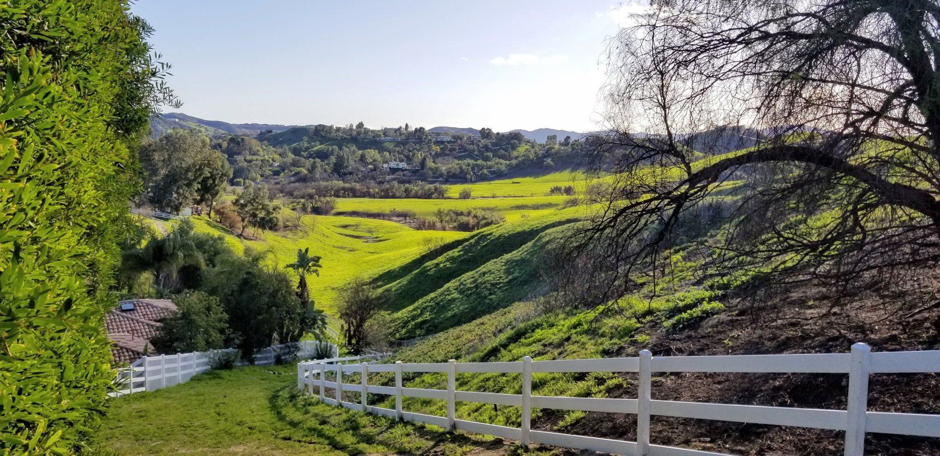 Rolling hillside and white fencing in Hidden Hills, from the association's February 2019 archive