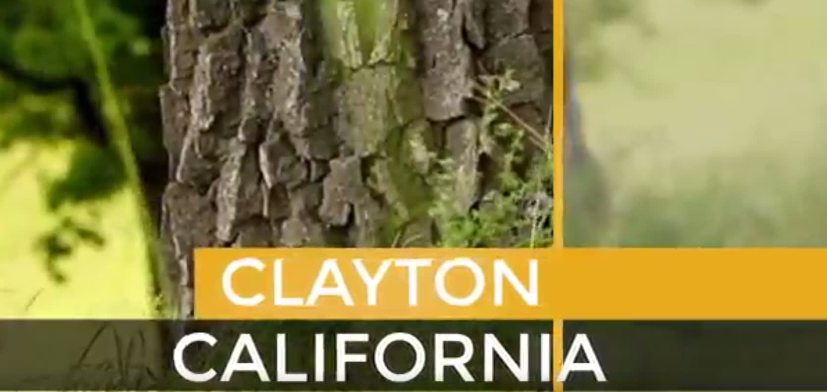 Clayton