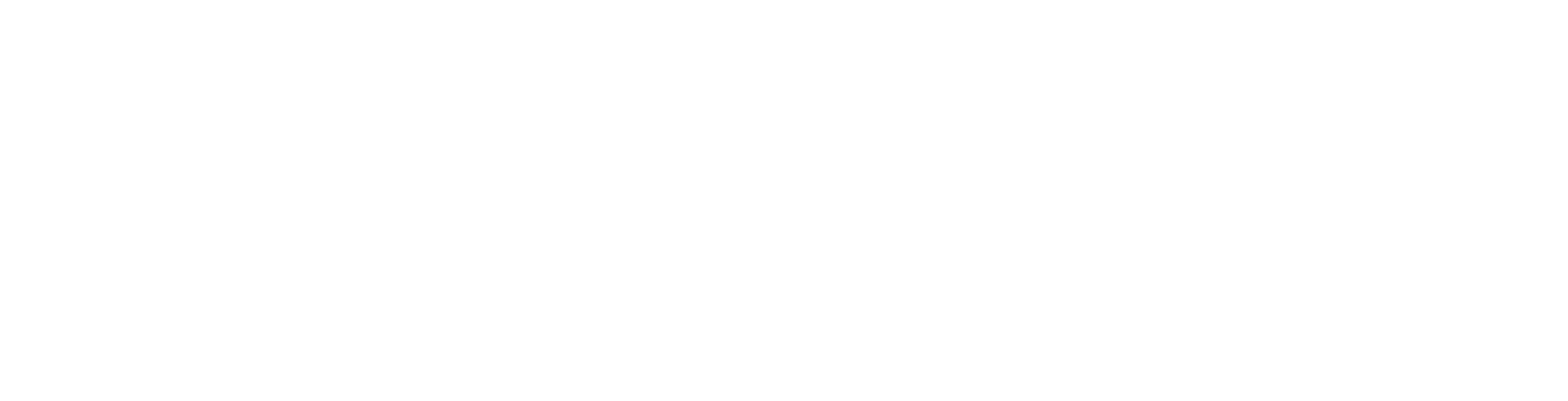 Angela Ting : The Agency
