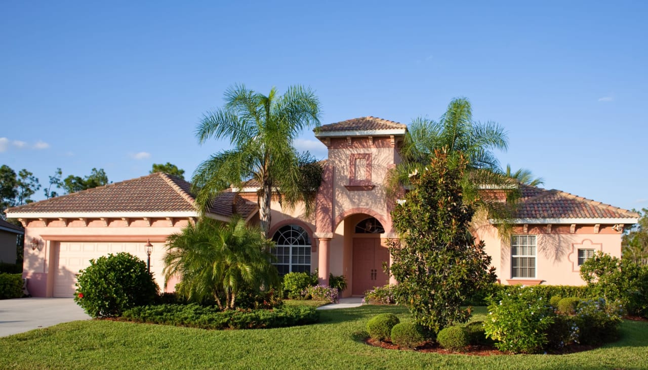 luxury home with palm trees and beautiful garden