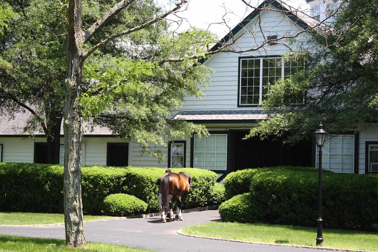 texas real estate equestrian property expert 