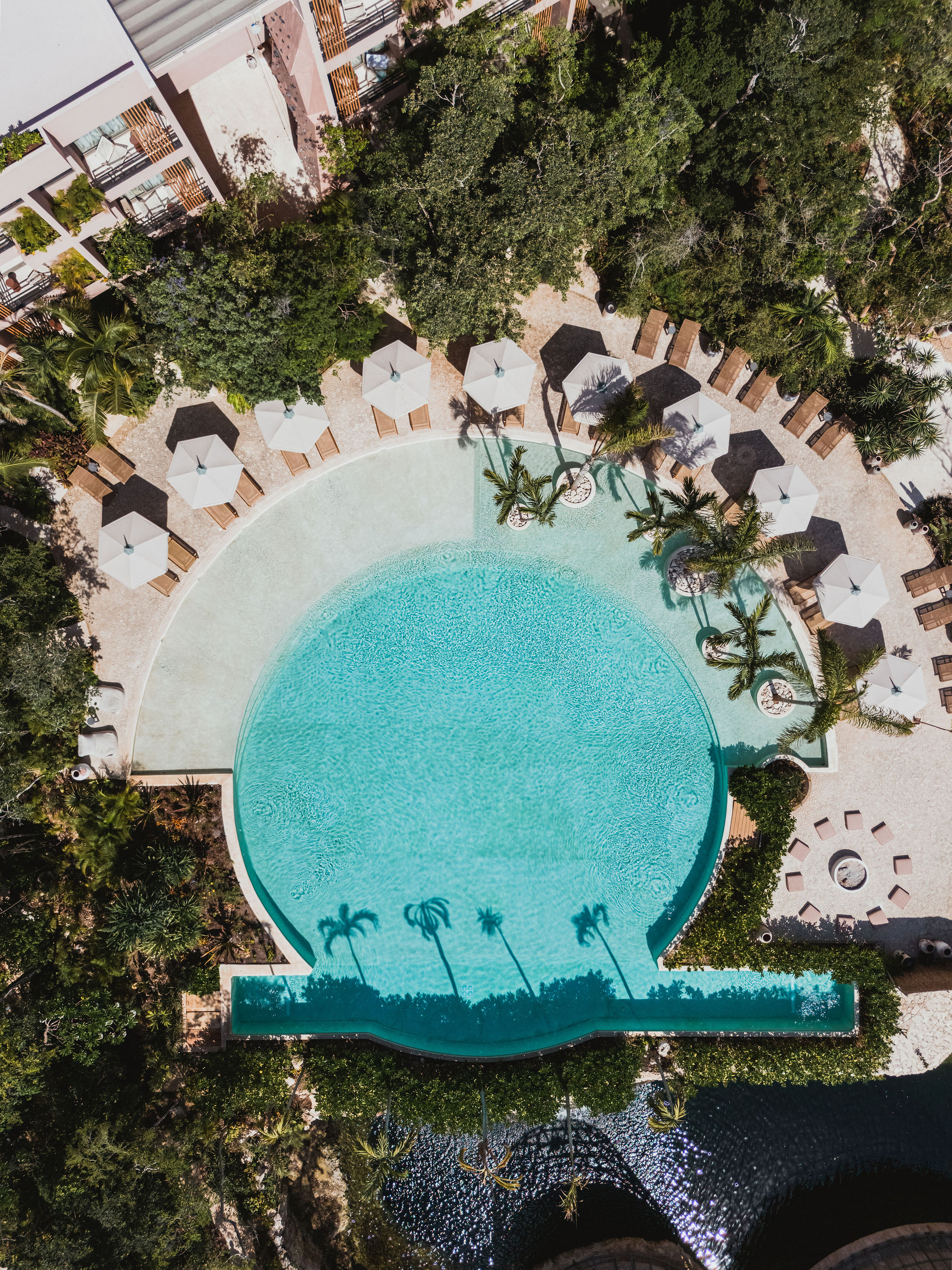 1 Bed Condo/Apartment - Aflora Tulum | Aldea Zama
