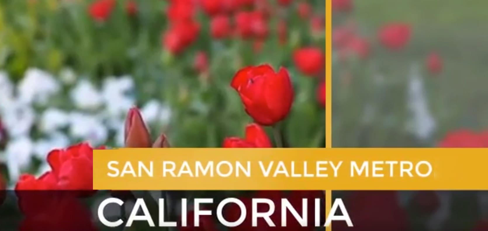 San Ramon Valley Metro