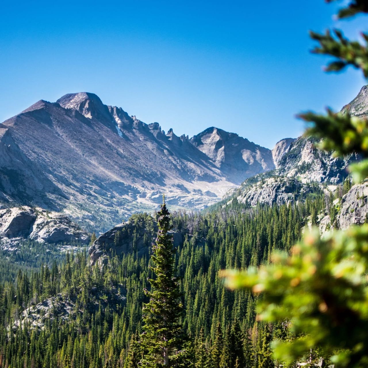 A mountain range with a forest in the foreground.