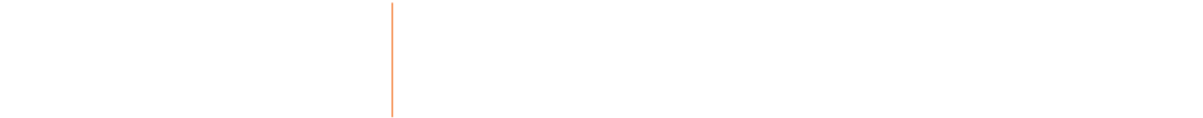 Levin Johnston - Logo