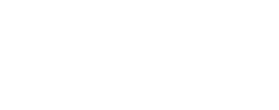 RE/MAX Fine Properties logo in white text