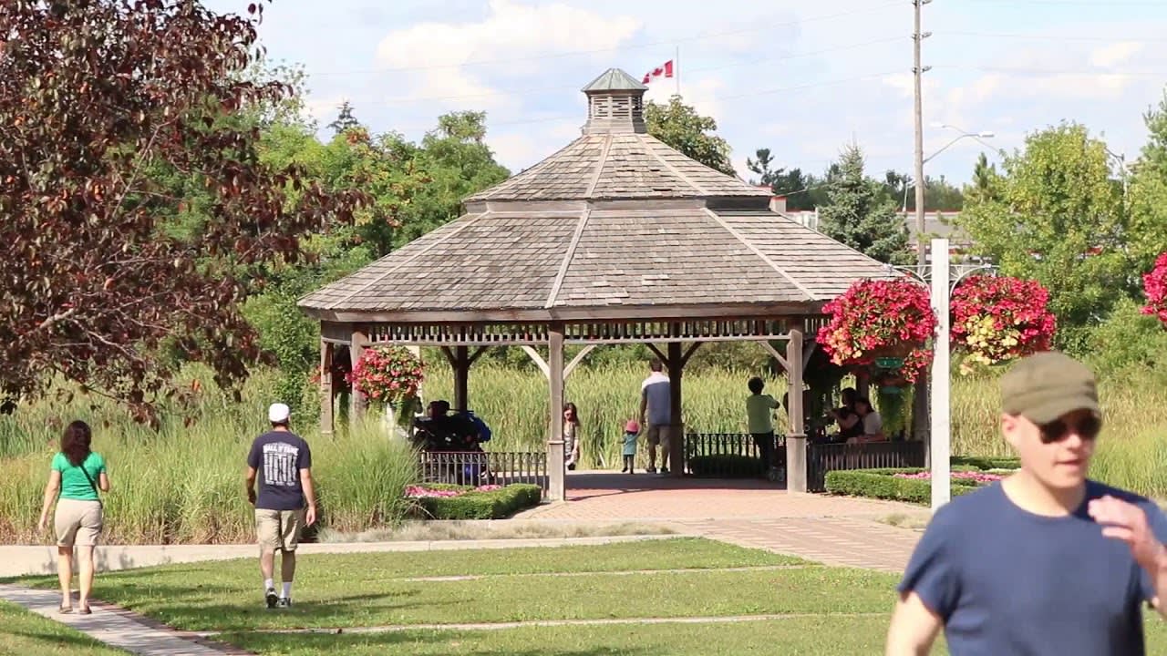 Richmond Hill Neighbourhood Video