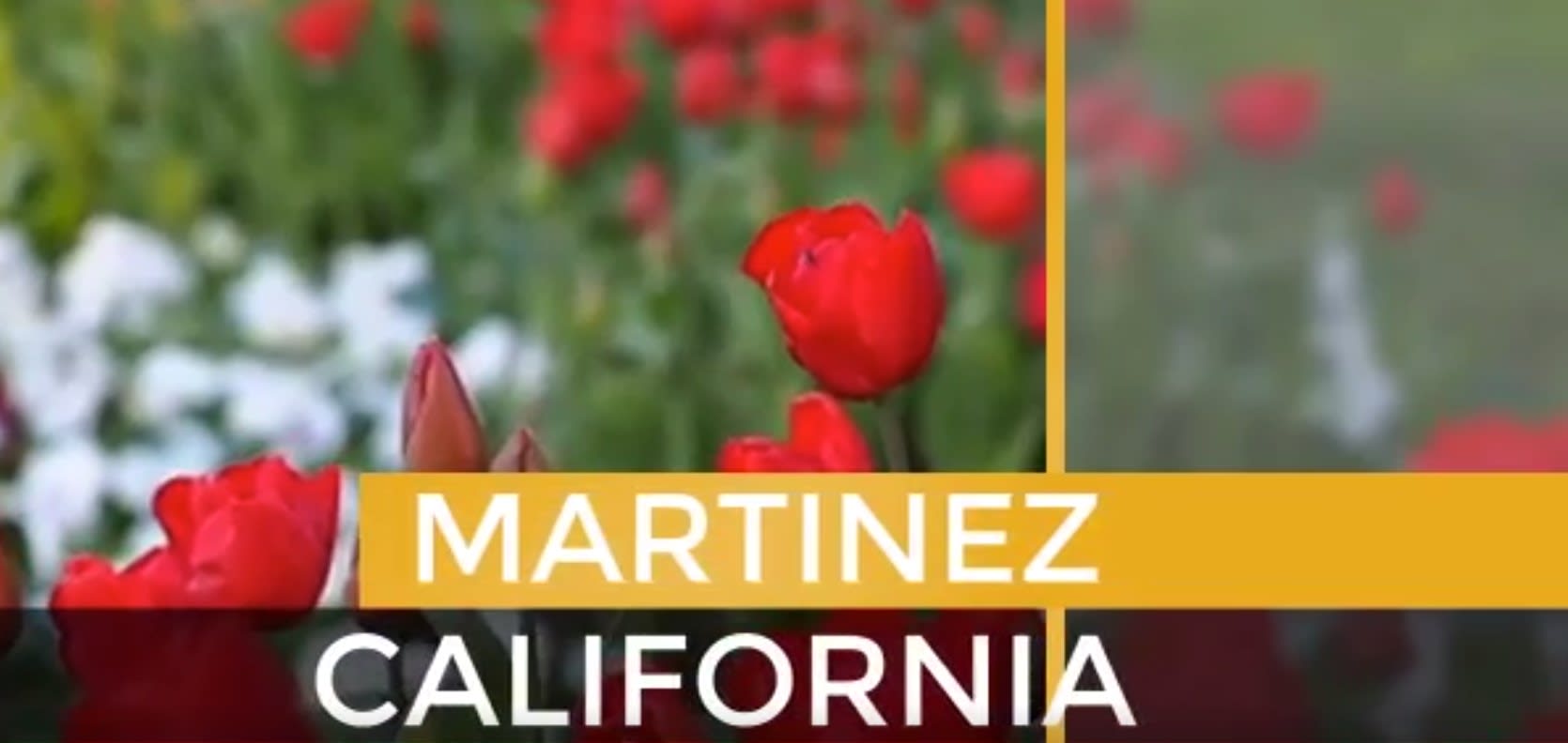 Martinez
