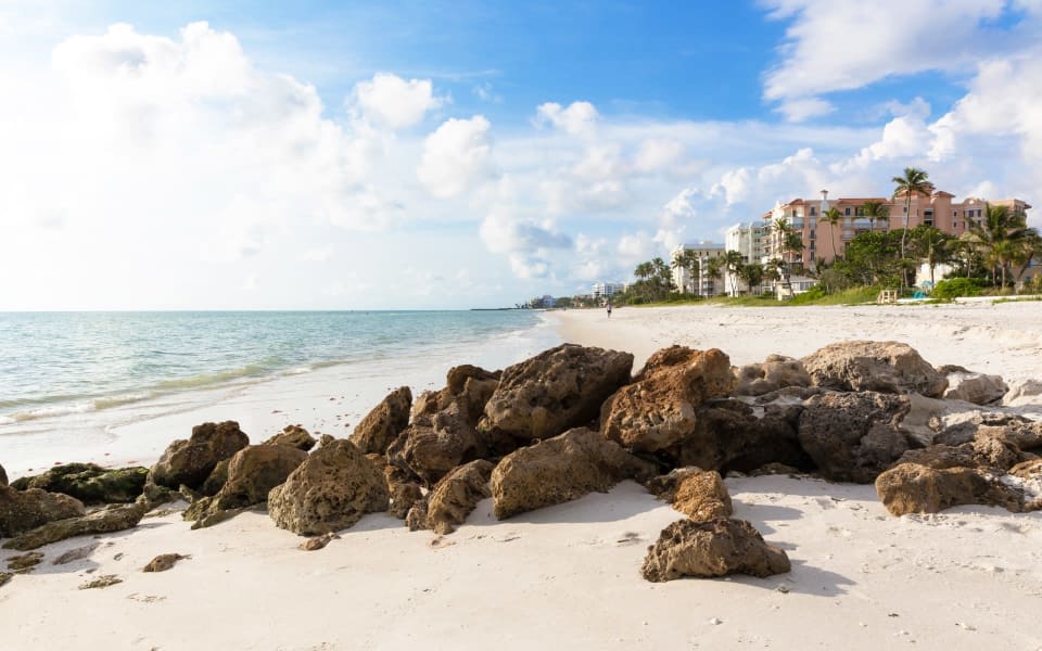 Edgewater Homes For Sale & Listings | Terry Segall
