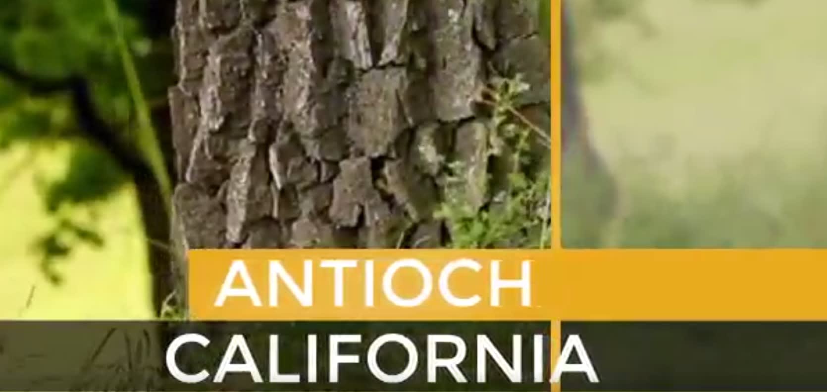 Antioch