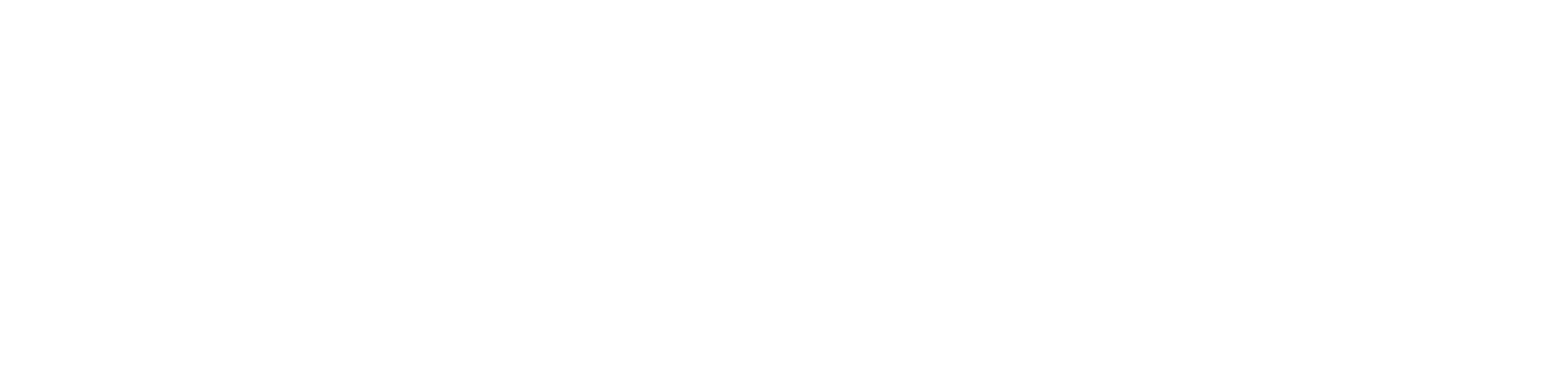 Beth Brody