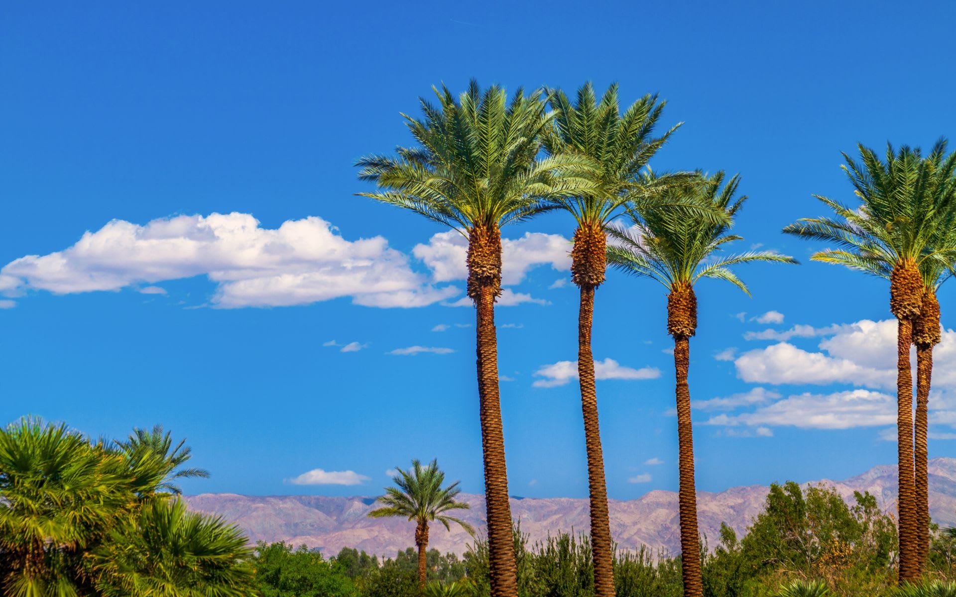 Rancho Mirage image