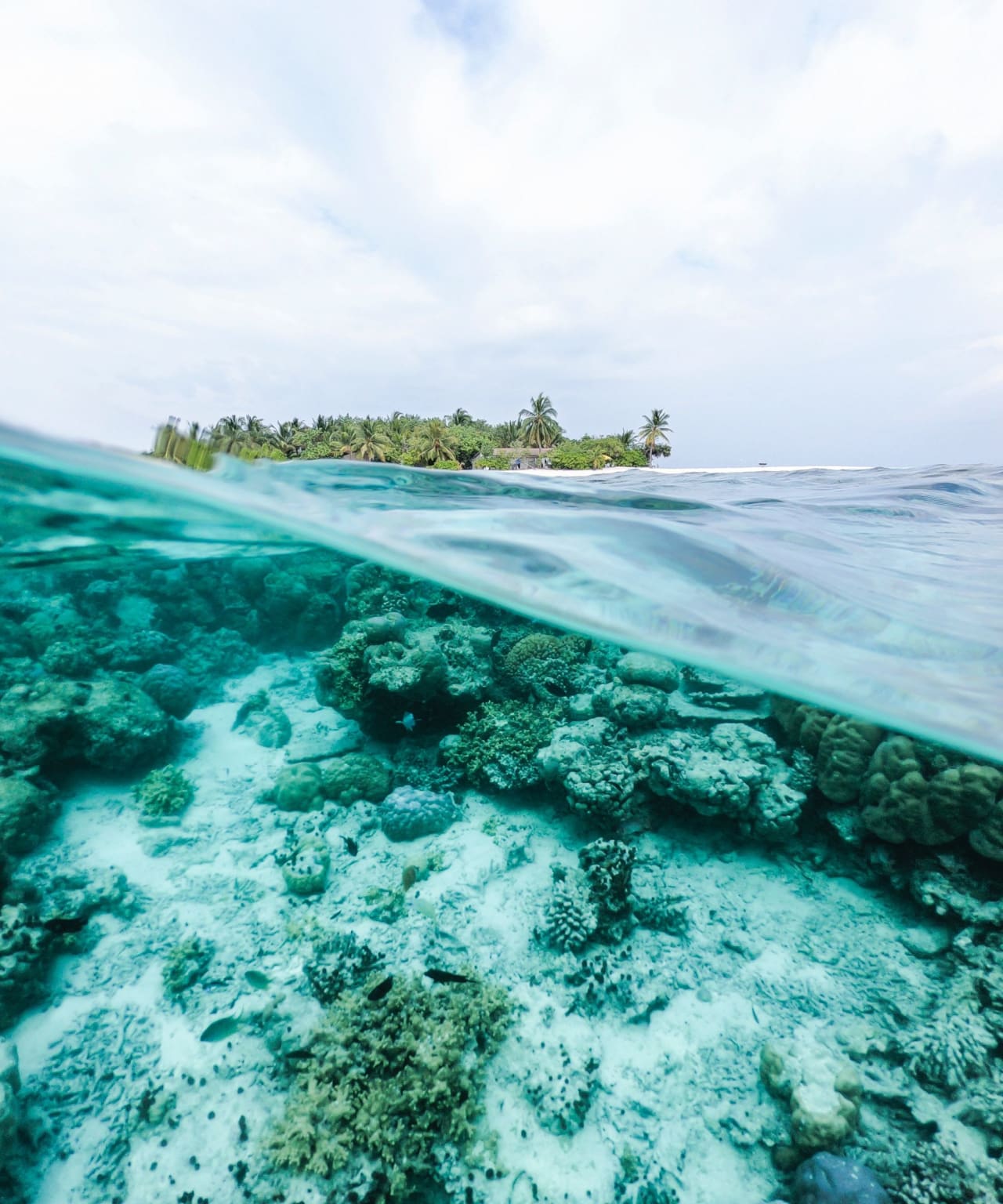 a view of the coral reefs and an island