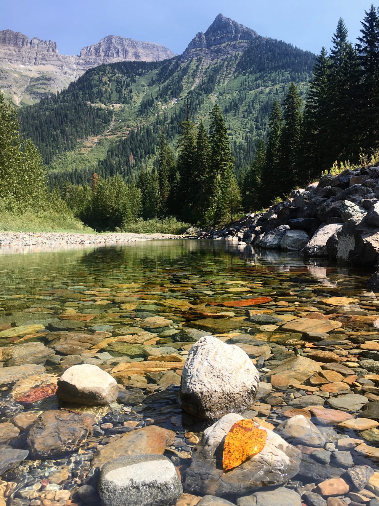 A rocky river with a clear, fast-moving current. The river is surrounded by trees and snow-capped mountains.