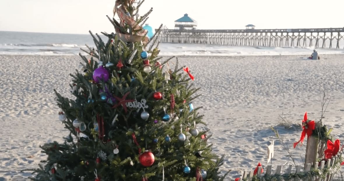 Our Favorite Holiday Happenings in Charleston