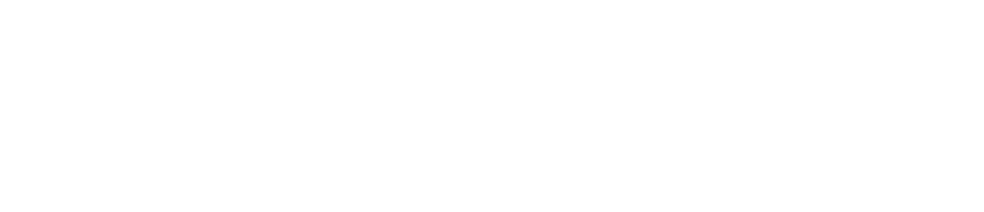 The Home Team