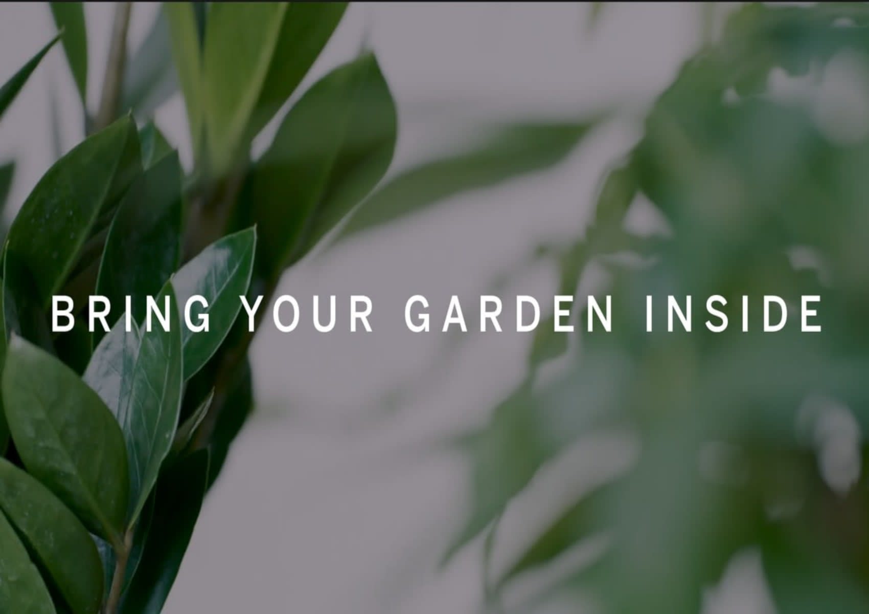 RESIDE MOMENTS - Bring Your Garden Inside