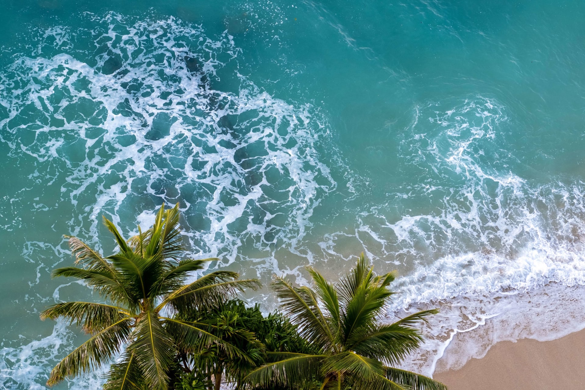 horizonhawaii.com logo