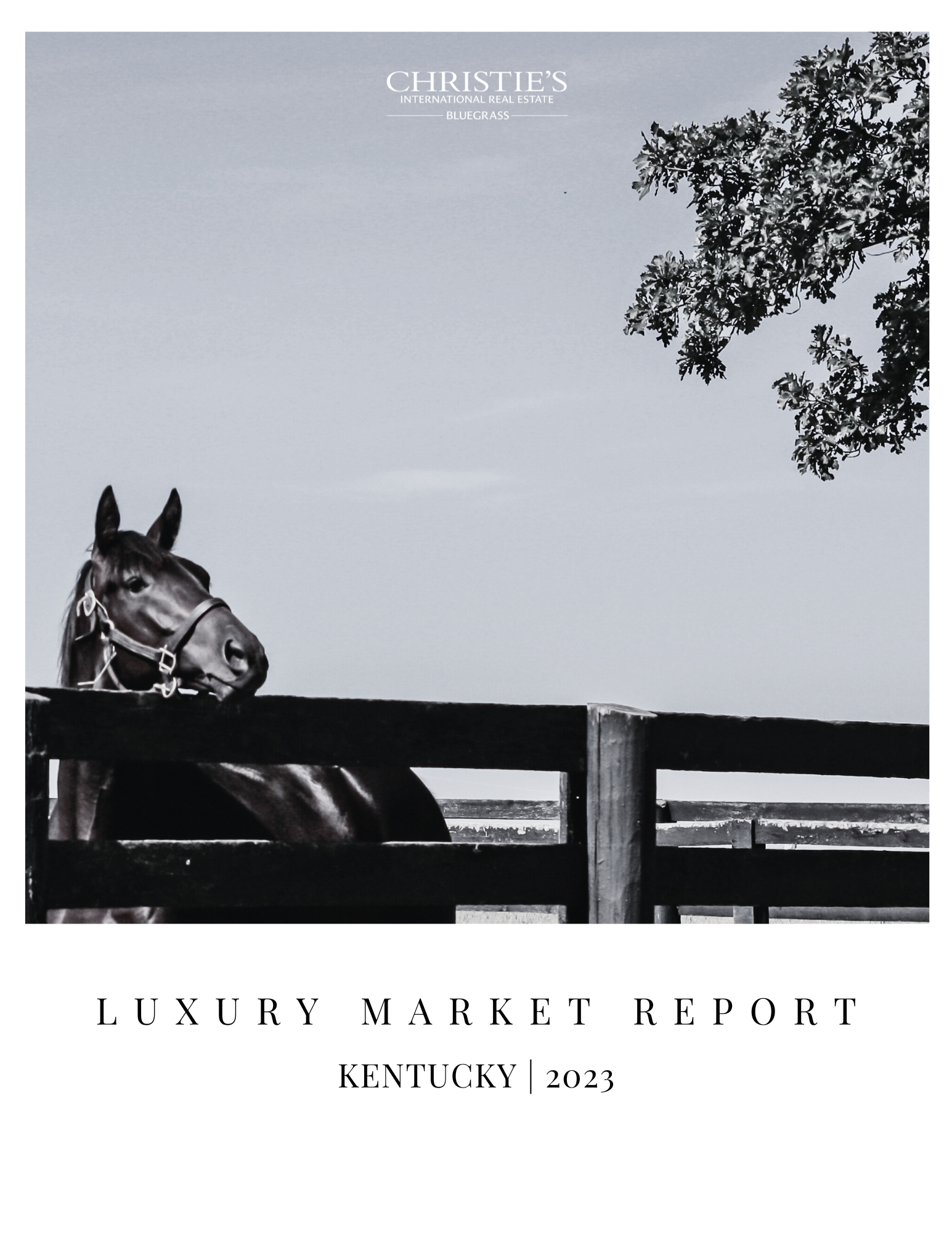 2023 Market Report