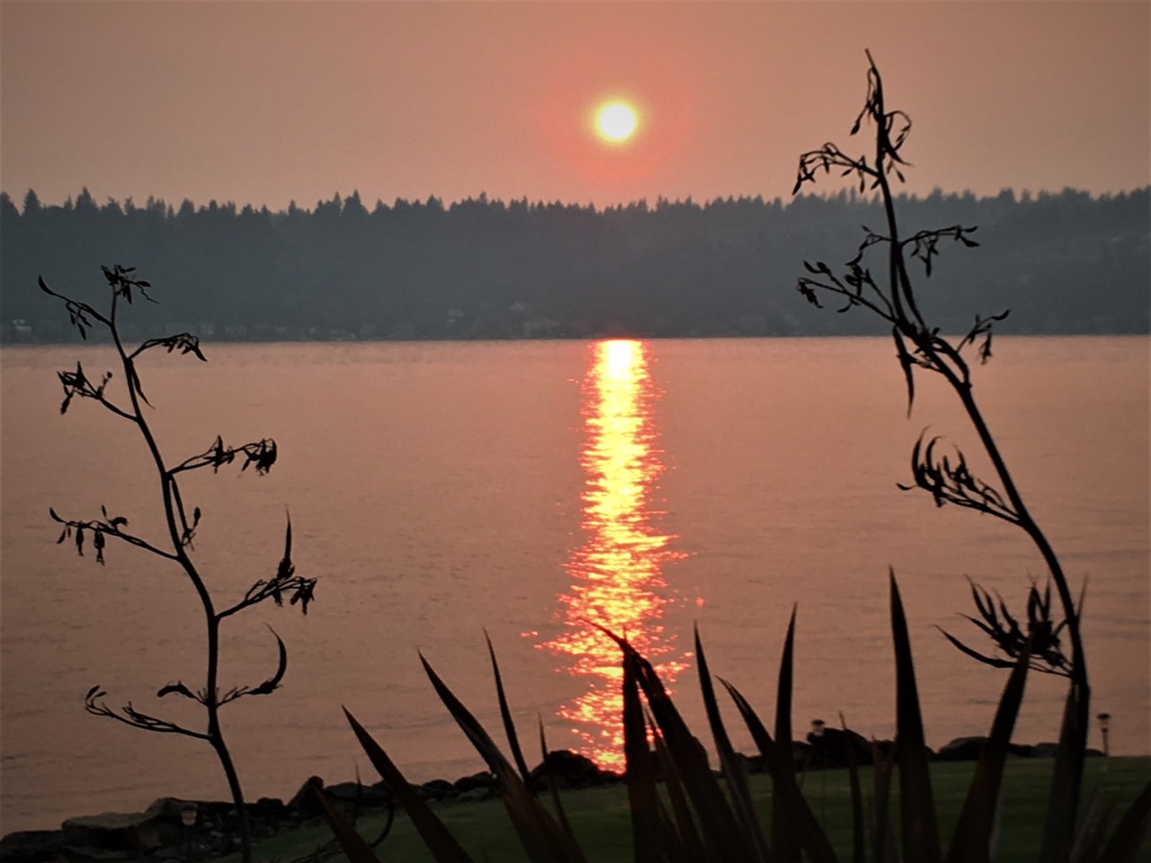 a serene sunset with majestic mountains in the distance