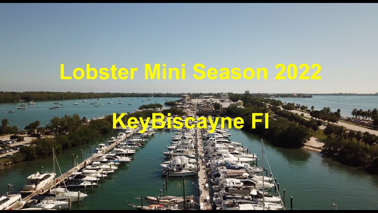 Lobster Mini Season 2022!