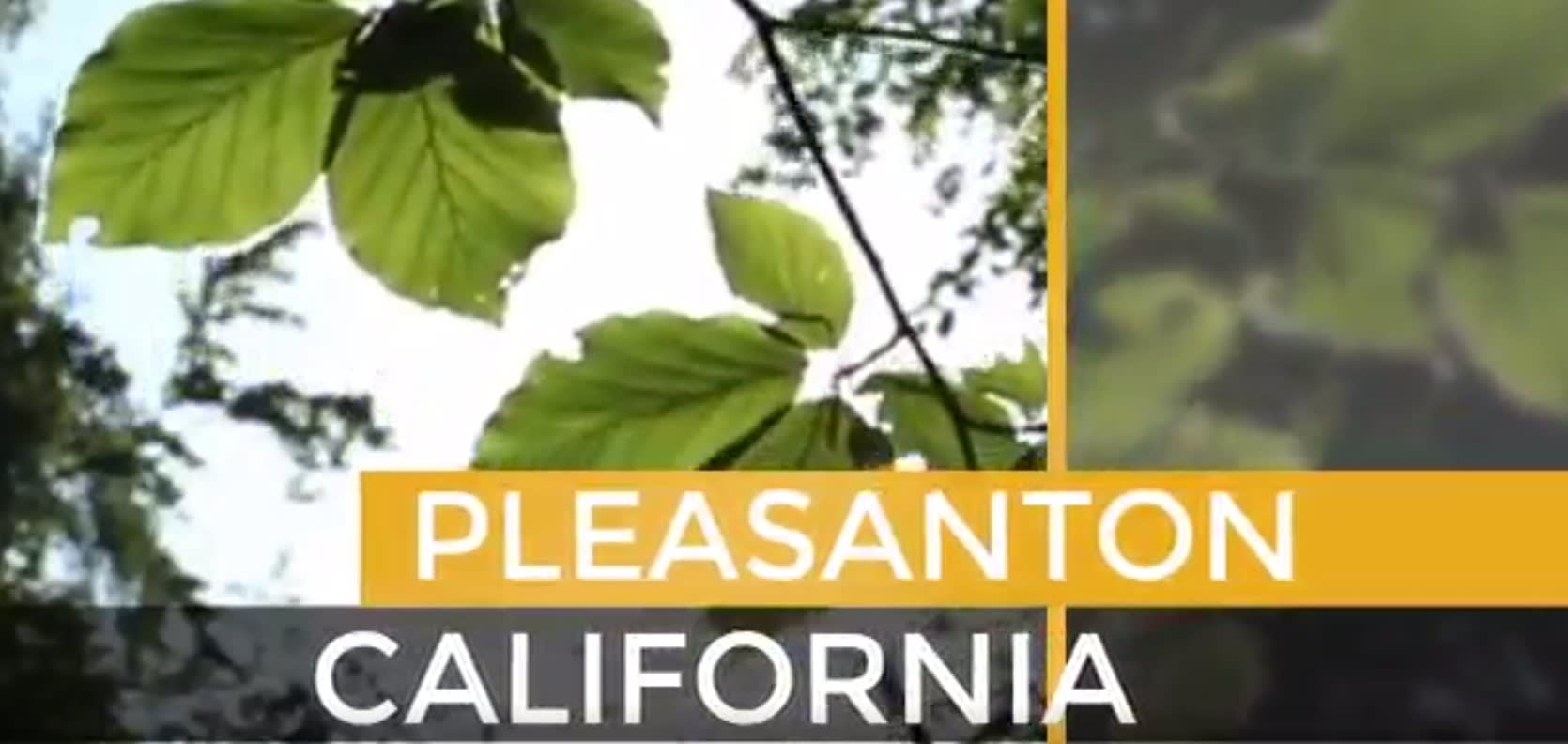 Pleasanton