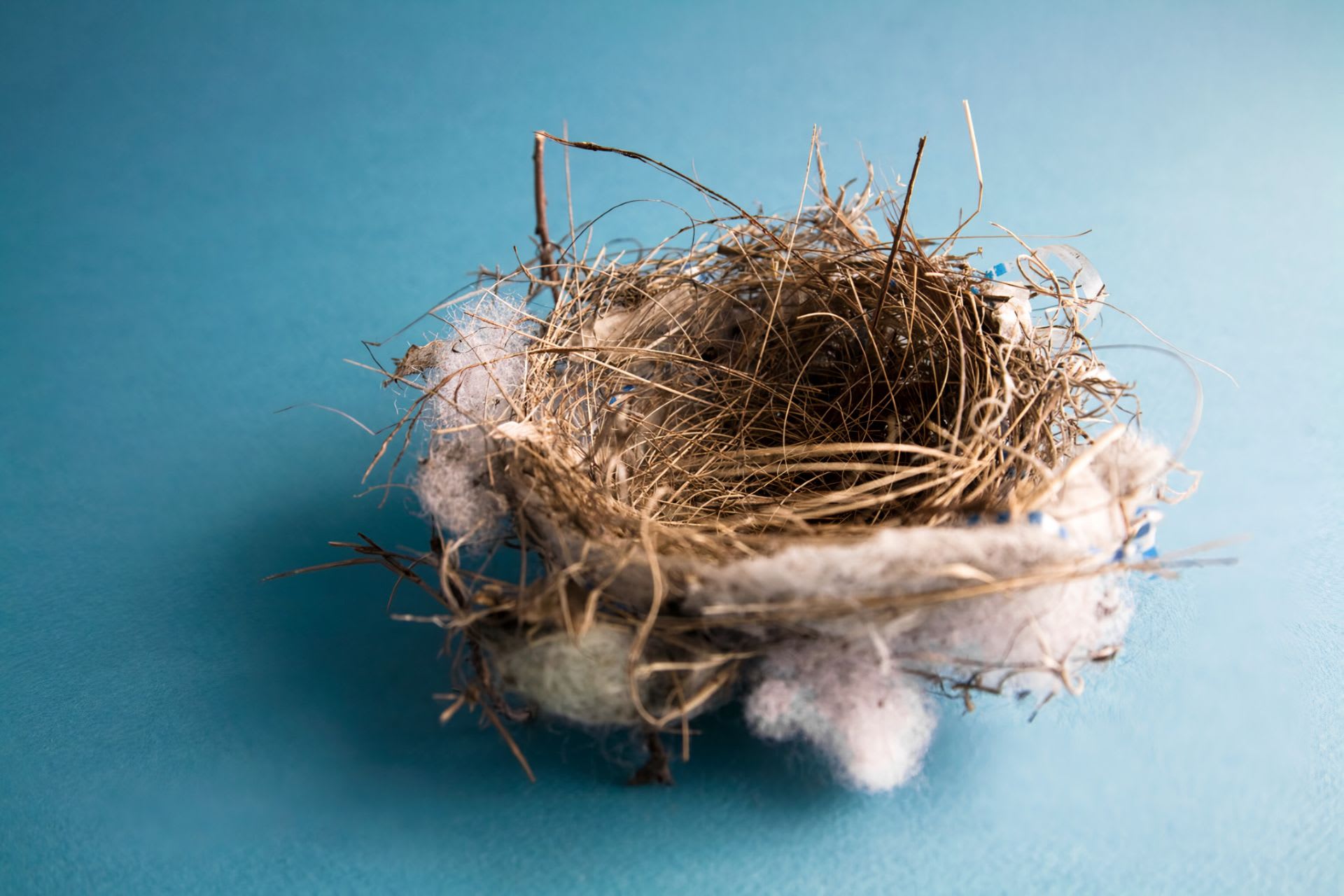 Staged Nest Real Estate - Premier Latham Real Estate Agents
