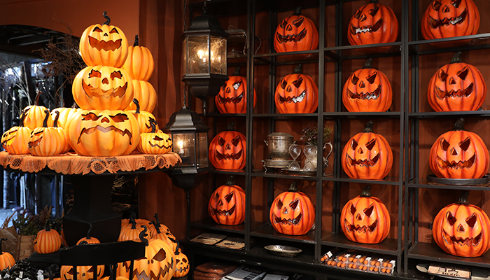 Roger’s Gardens Halloween Boutique