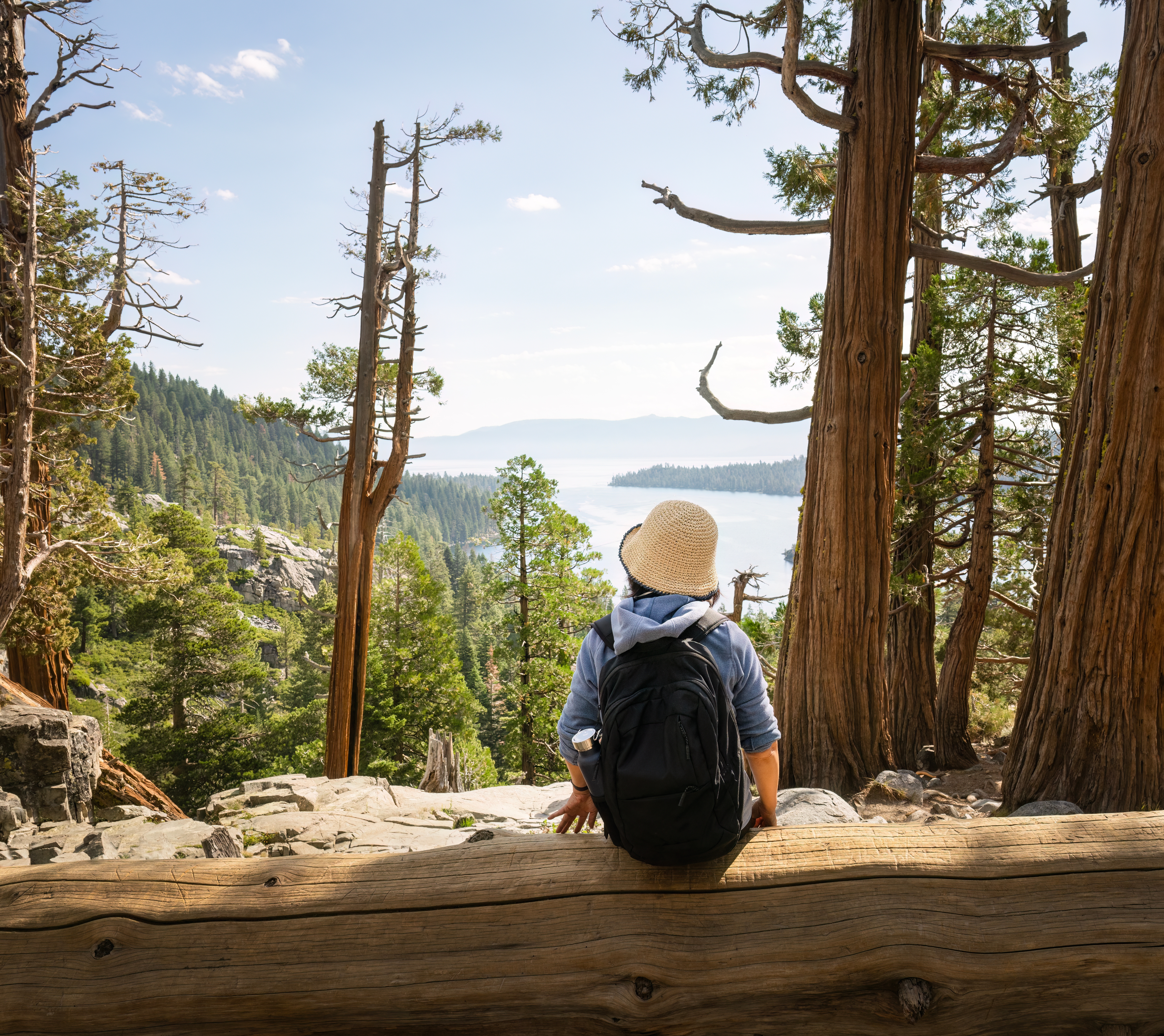 CA/NV Lake Tahoe REALTOR : MACKENZIE MARTIN - Business Photo