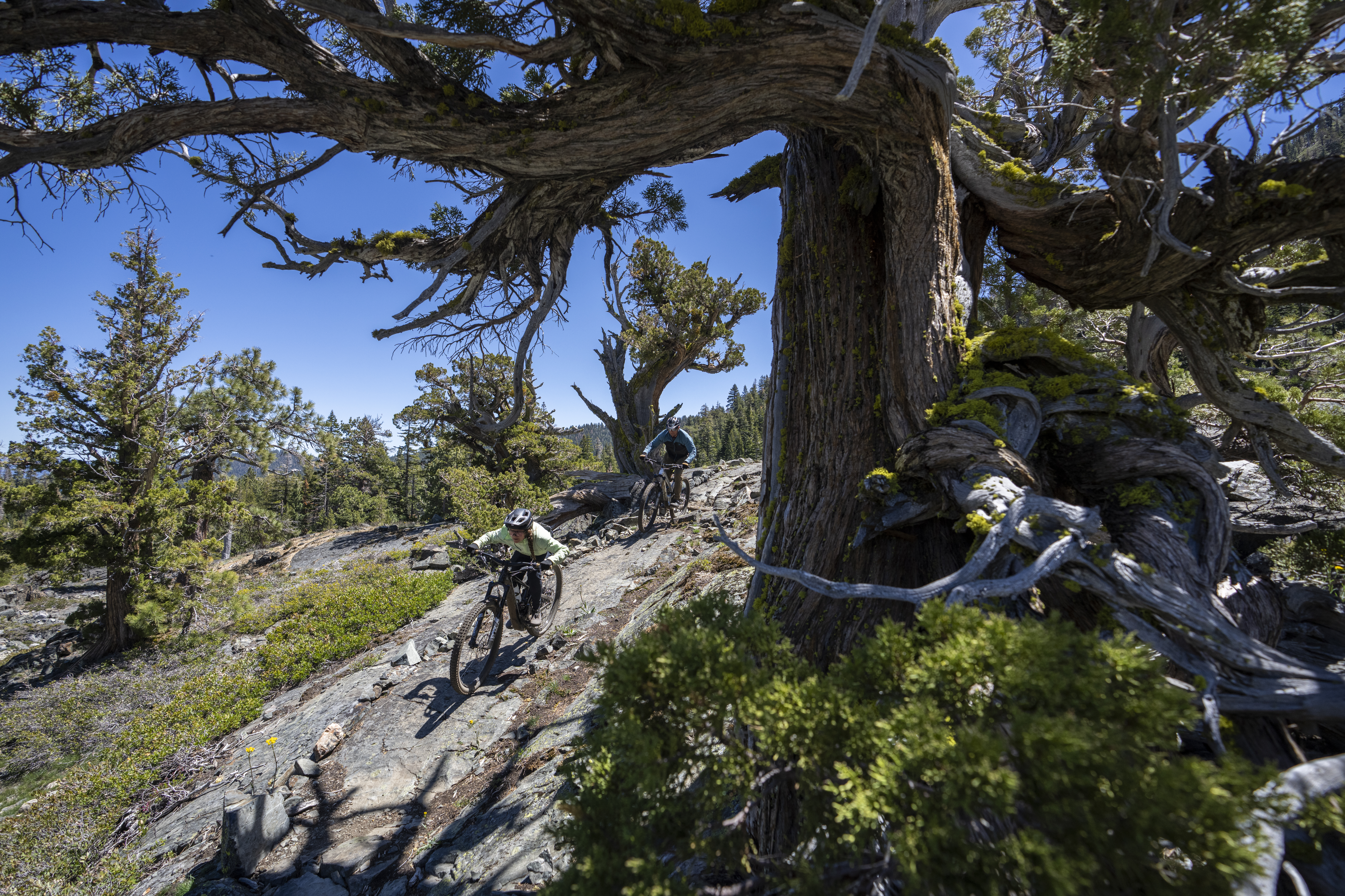 Mountain biking and trails lifestyle in the Lake Tahoe area