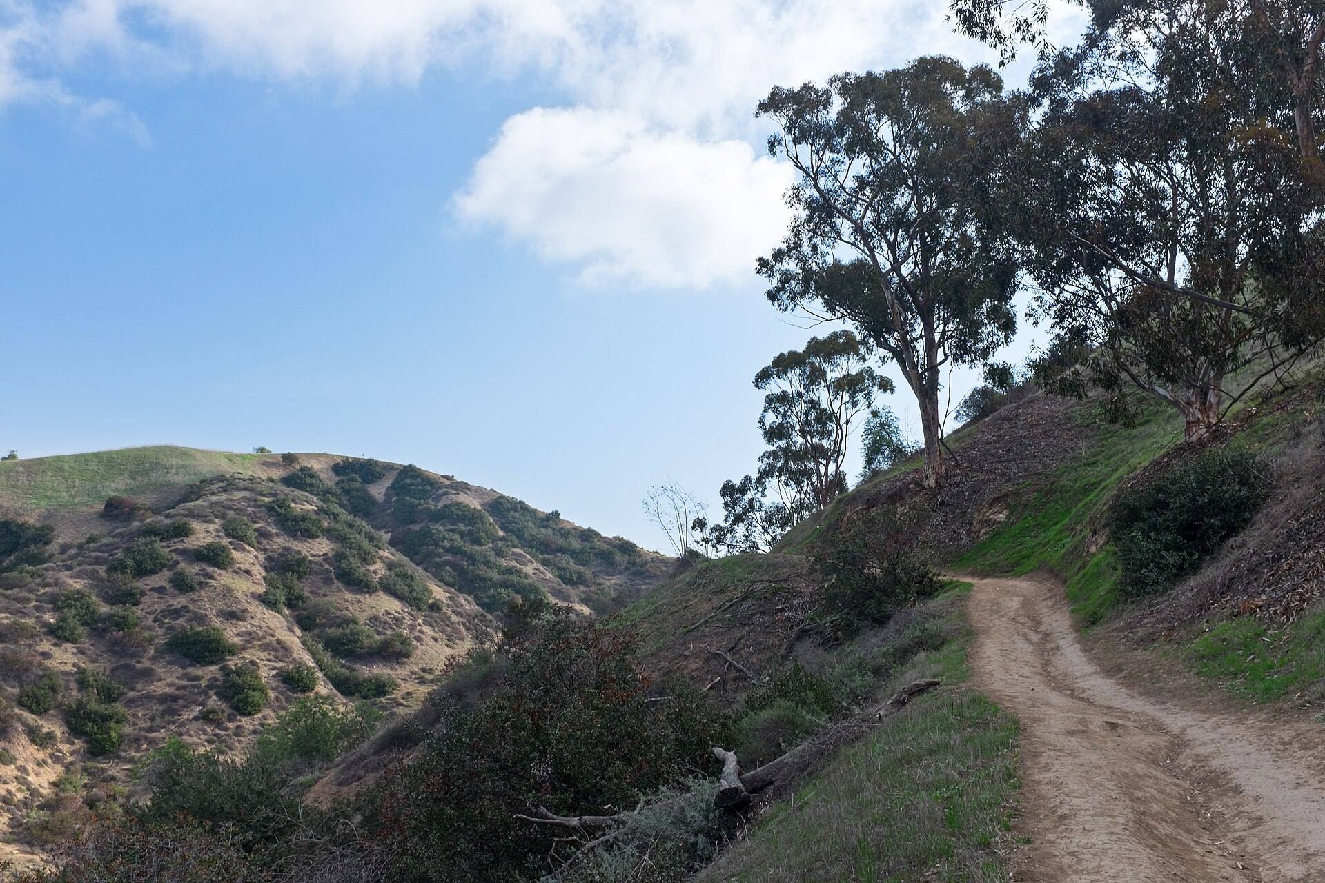 Unpaved Mariposa Trail winding beside trees in Whittier Hellman Park