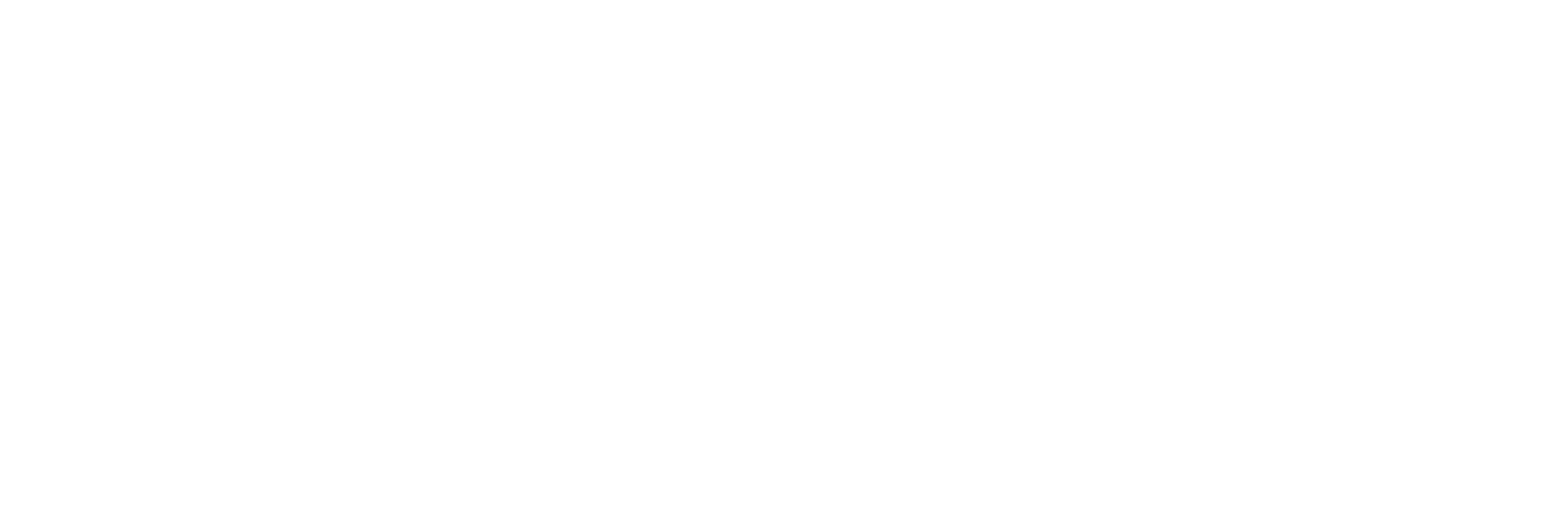 Liz Benson - Realtor, Village Properties