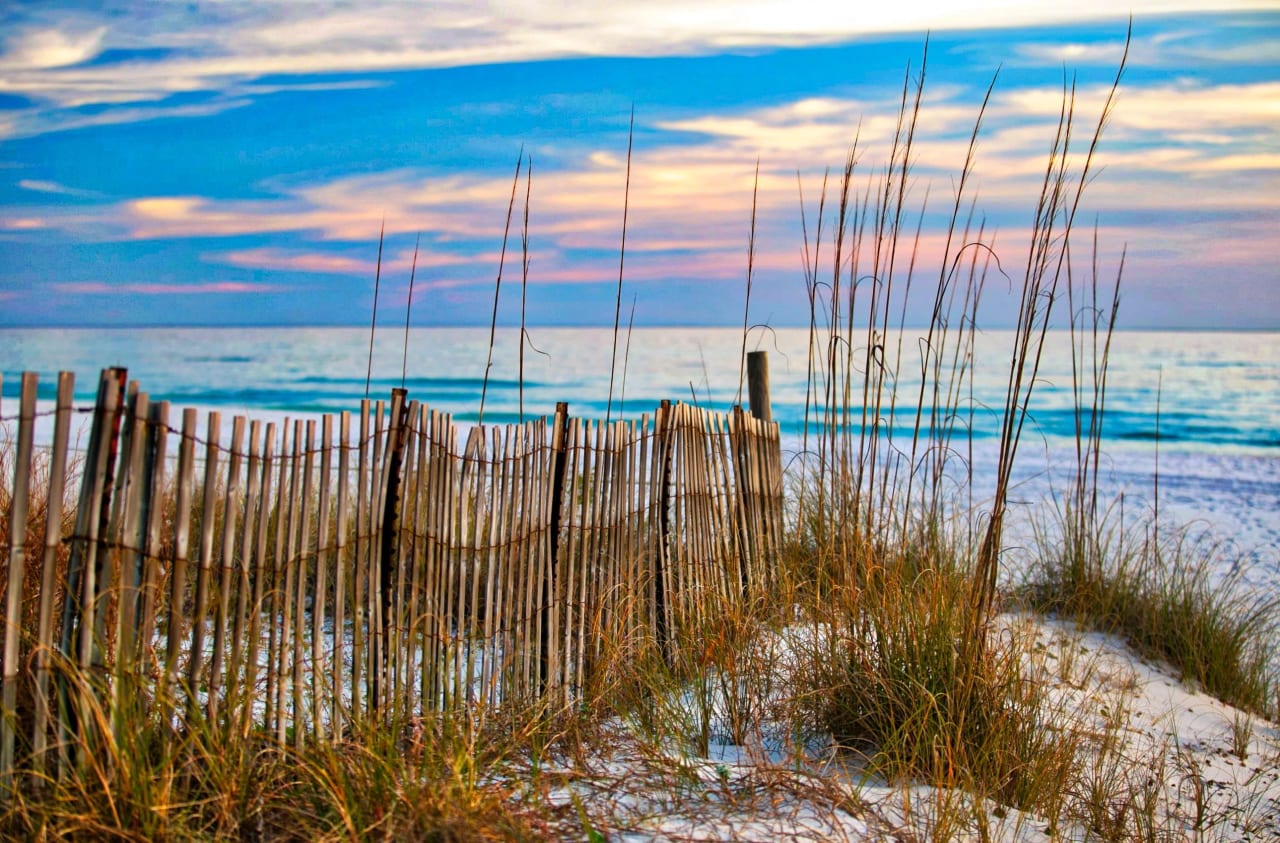 southernbeachcollection.com logo