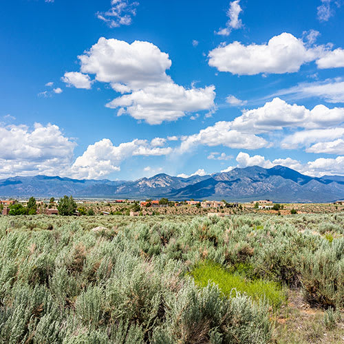 A lush green field with mountains in the background.