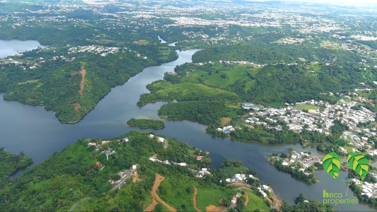 Naranjito 60 Acres Panoramic Lakefront Parcels