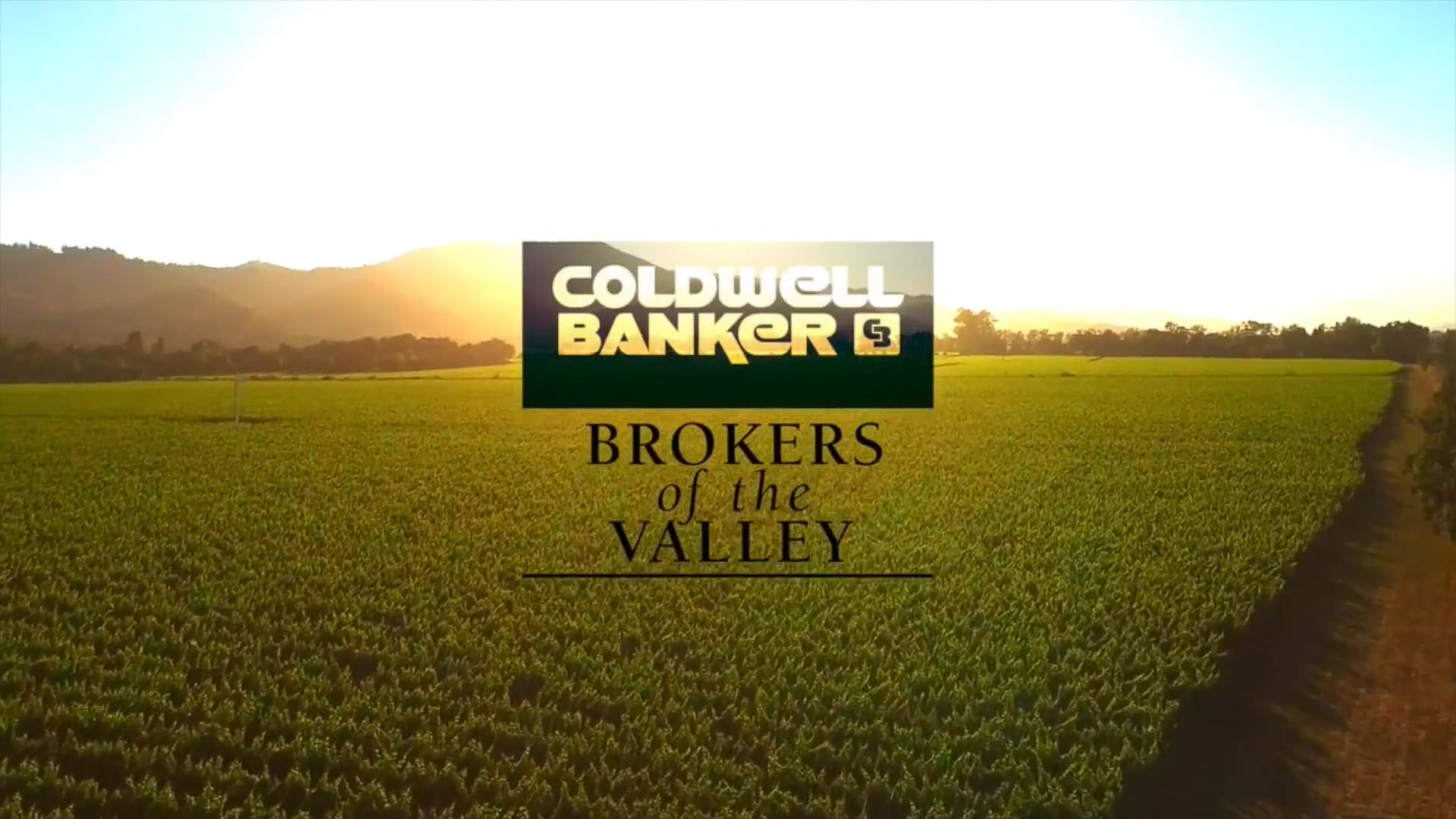 Avi Strugo: Coldwell Banker Brokers of the Valley