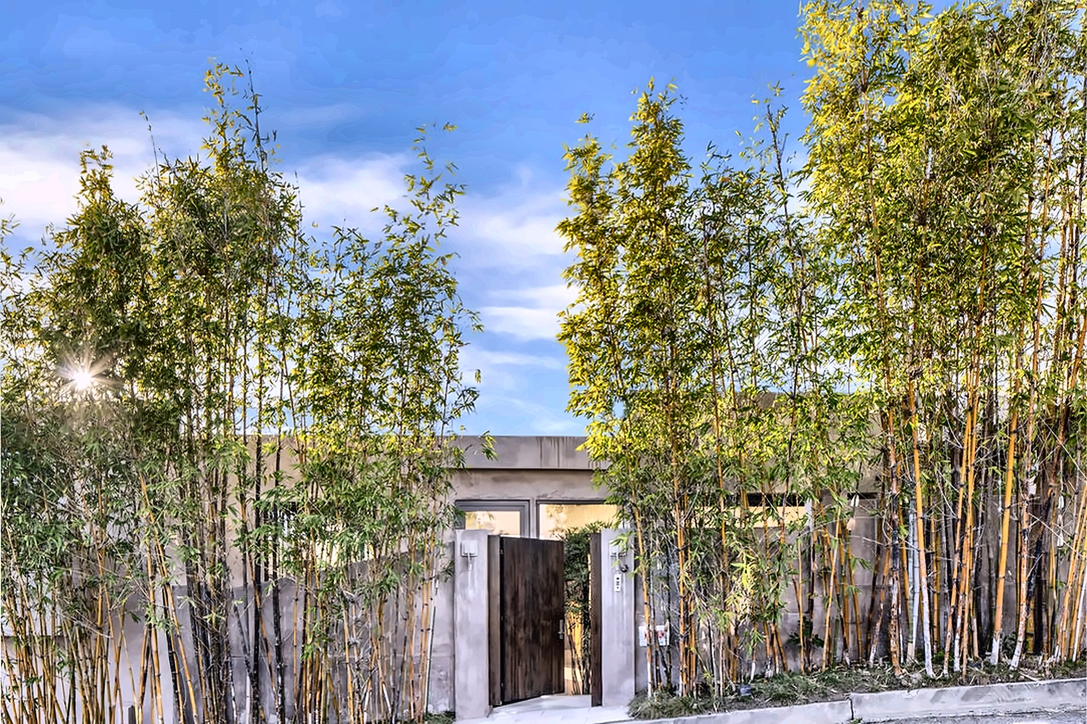 Private bamboo-screened entrance to a Hollywood Hills estate