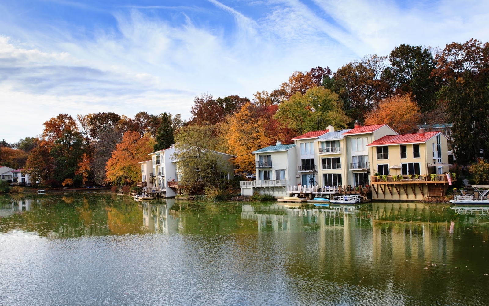 Reston Office