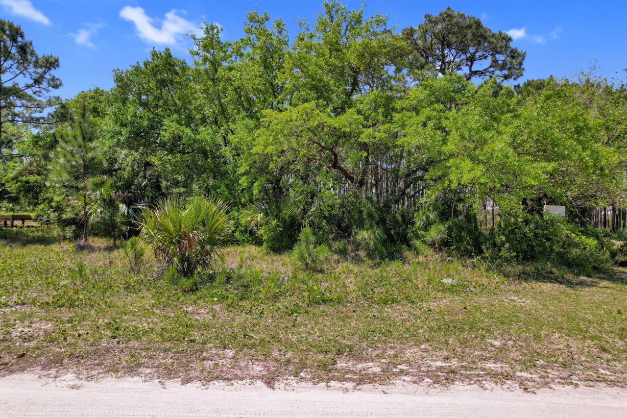 A view of a vacant plot of land showcasing the surrounding greenery.