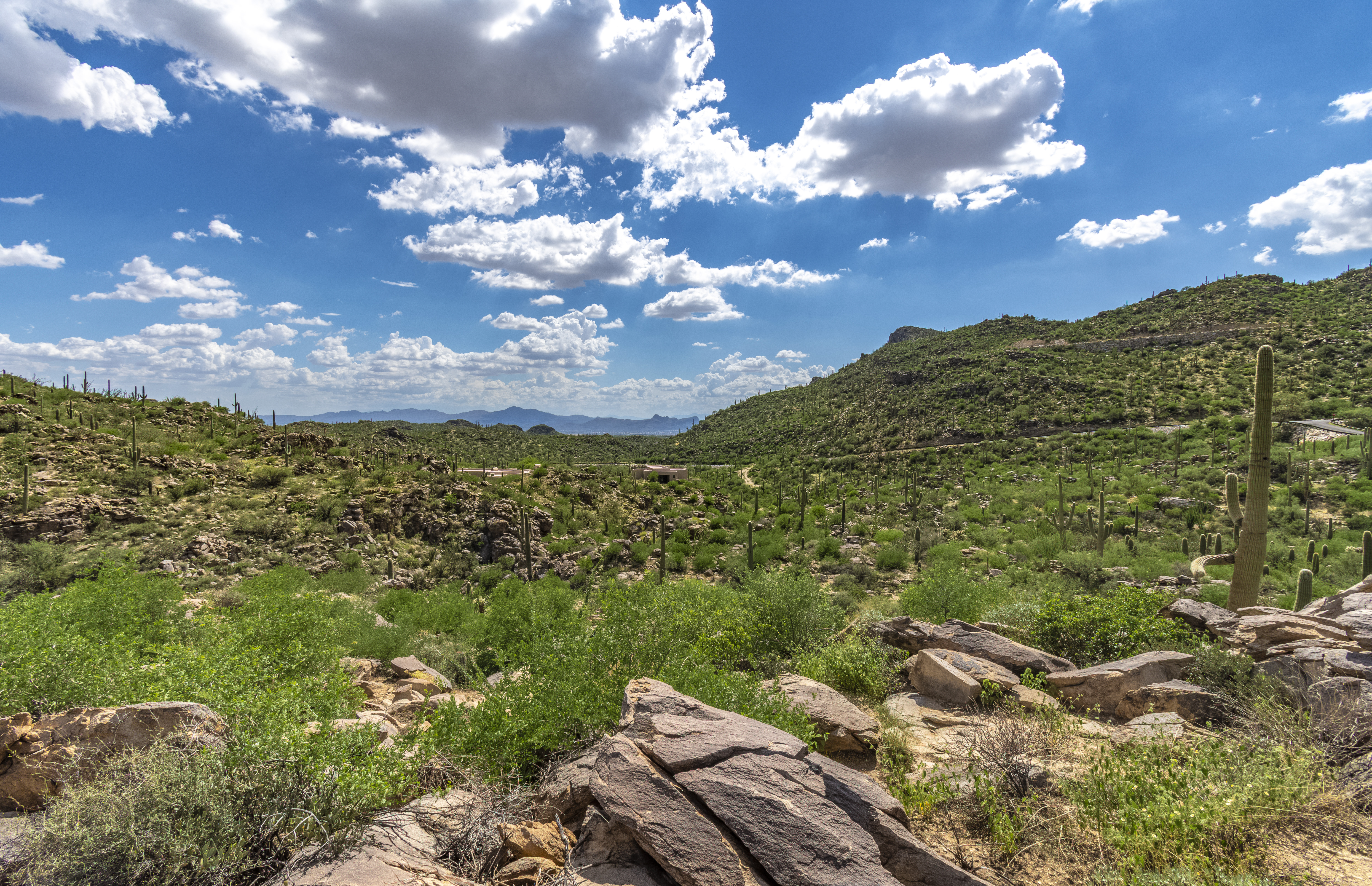 Select your homesite
