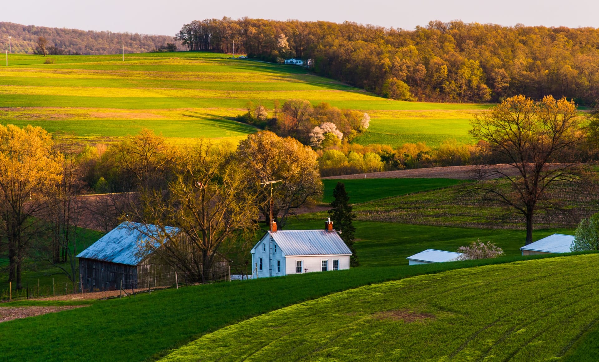 Explore Pennsylvania Neighborhoods | The Yot Howley Group